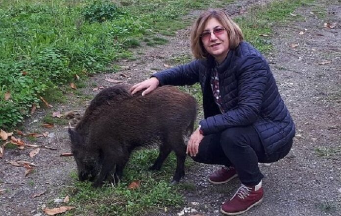Η Λαρισαία που δάμασε το αγριογούρουνο στον Αγιόκαμπο