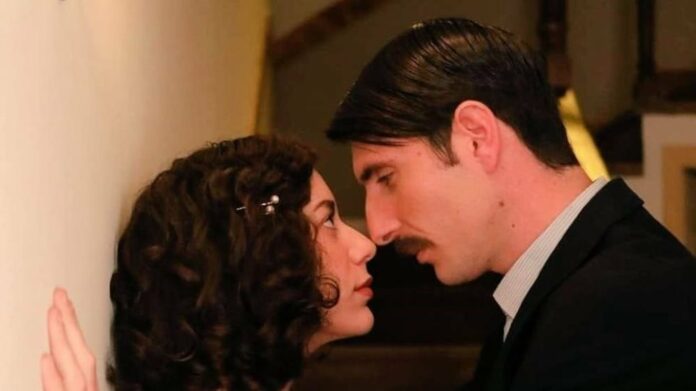 Άγριες Μέλισσες