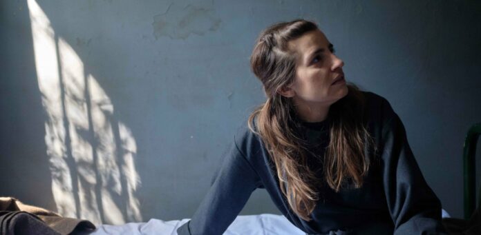 Άγριες Μέλισσες