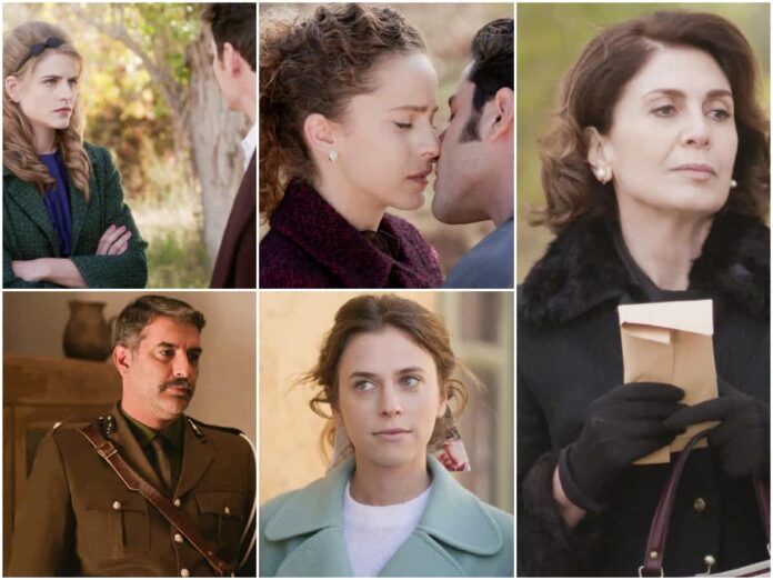 Άγριες Μέλισσες