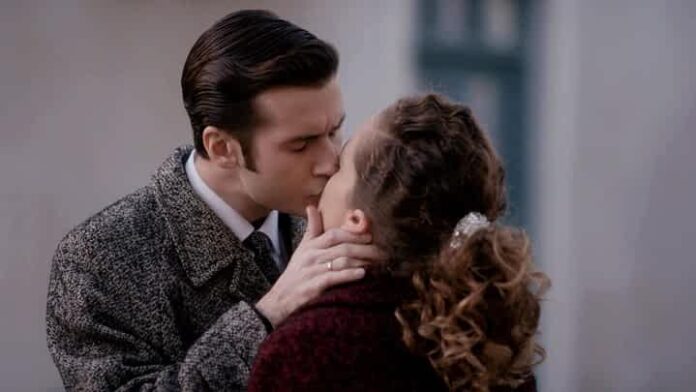 Άγριες Μέλισσες