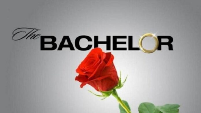 bachelor