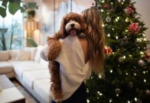 Ζώδια: Προβλέψεις για σήμερα Σάββατο 6 Δεκεμβρίου 2025