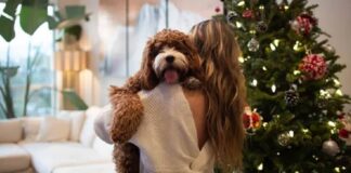 Ζώδια: Προβλέψεις για σήμερα Σάββατο 6 Δεκεμβρίου 2025