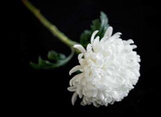 Λάρισα: Οι κηδείες σήμερα Κυριακή 23 Νοεμβρίου 2025