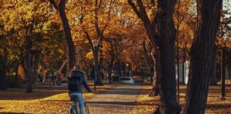 Ζώδια: Προβλέψεις για σήμερα Σάββατο 15 Νοεμβρίου 2025