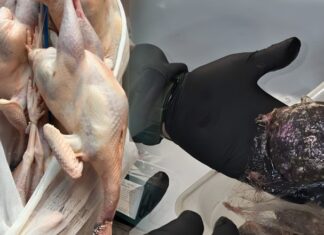 Δώδεκα τόνους με μουχλιασμένα μπιφτέκια και αλλοιωμένες γαλοπούλες θα «έριχναν» στην αγορά