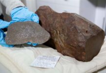 Άνδρας είχε στο σπίτι του μετεωρίτη 4,6 δισ. ετών γιατί νόμιζε πως ήταν… χρυσός