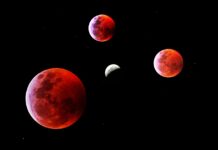 Ζώδια: Προβλέψεις για σήμερα Παρασκευή 12 Δεκεμβρίου 2025