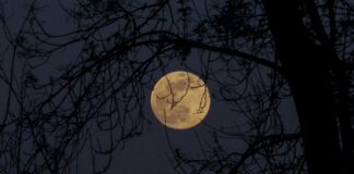 Ζώδια: Προβλέψεις για σήμερα Τρίτη 27 Ιανουαρίου 2026