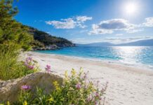 Καλοκαίρι θυμίζει ο καιρός στη Λάρισα Καλοκαίρι θυμίζει ο καιρός στη Λάρισα