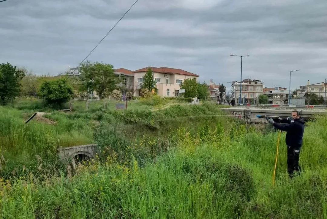 Καταπολέμηση κουνουπιών στη Λάρισα