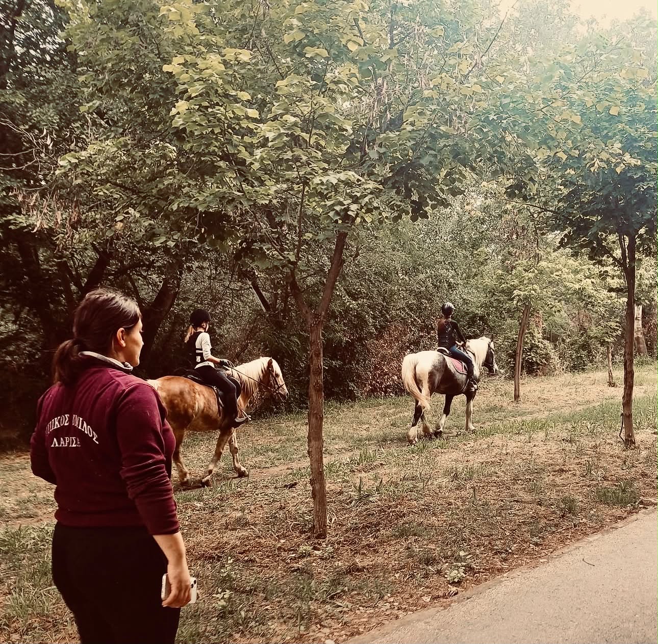 Ανακάλυψε τη μαγεία της ιππασίας: Εγγραφές μαθημάτων στον Ιππικό Όμιλο Λάρισας!